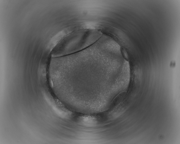 X0000112390500200909101414