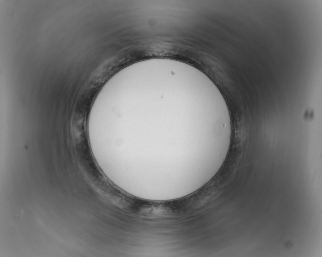 X0000112390503200909101414