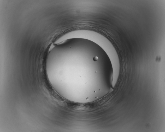 X0000112390504200909101414