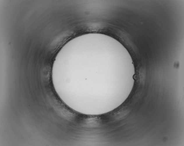 X0000112390505200909101414