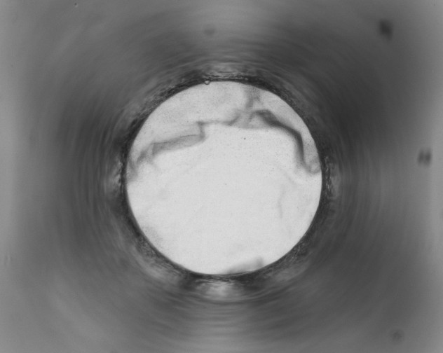 X0000112390507200909101414