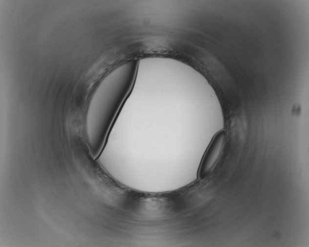 X0000112390508200909101414