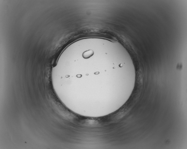 X0000112390509200909101414