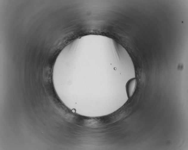 X0000112390511200909101414