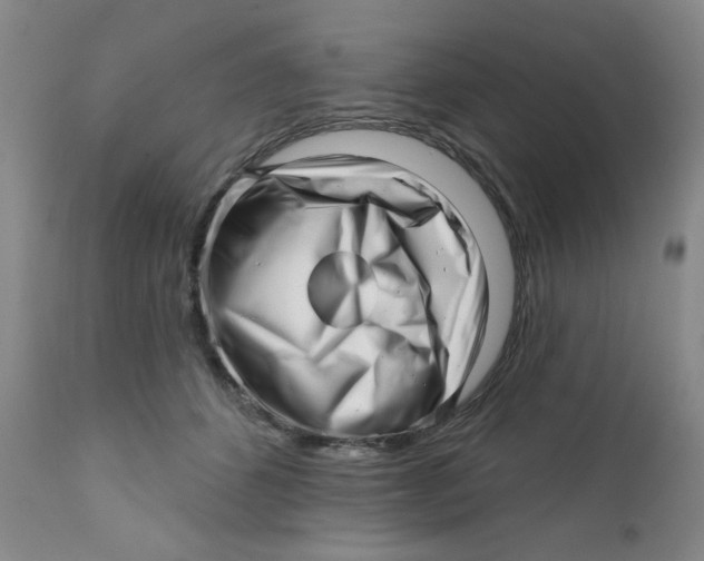 X0000112390512200909101414