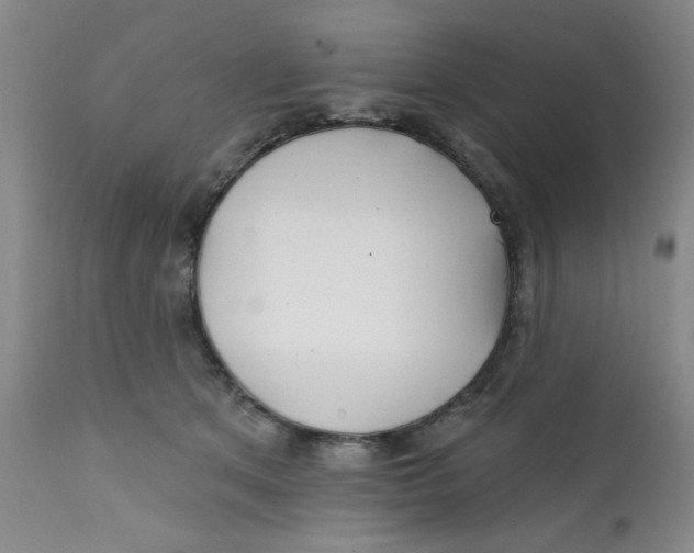 X0000112390513200909101414