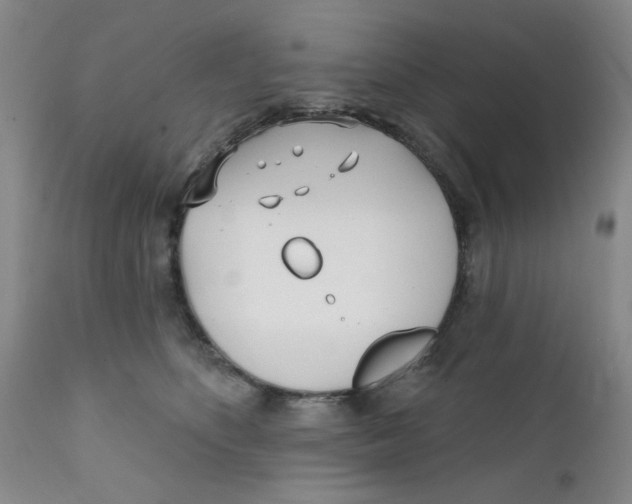 X0000112390516200909101414