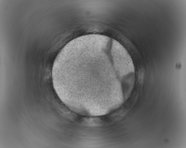 X0000112390517200909101414