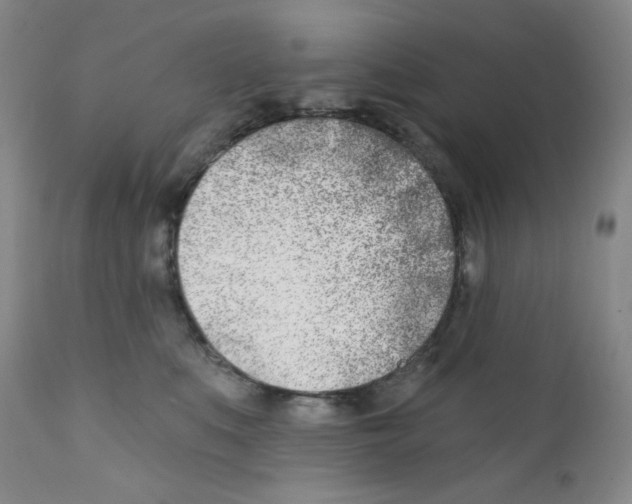X0000112390519200909101414