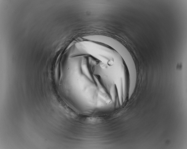 X0000112390520200909101414