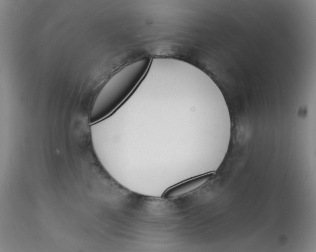 X0000112390521200909101414