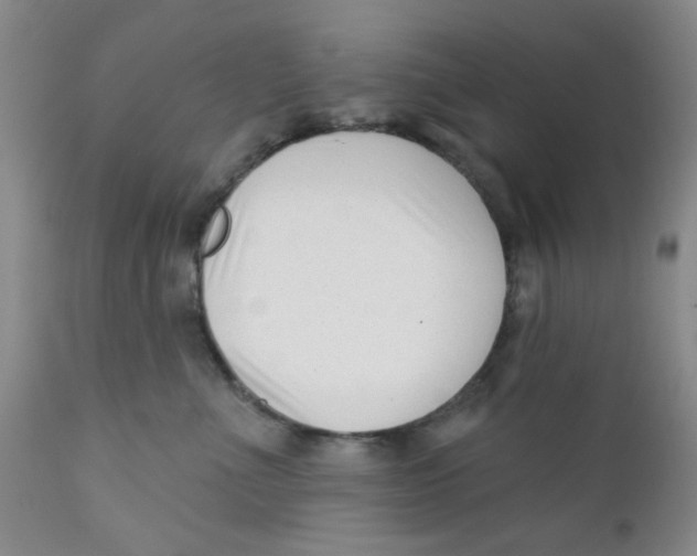 X0000112390523200909101414