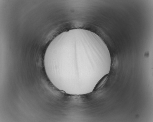 X0000112390524200909101414
