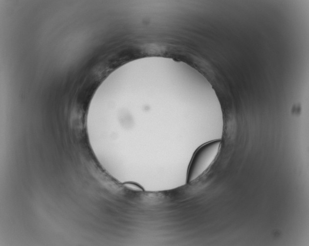X0000112390525200909101414