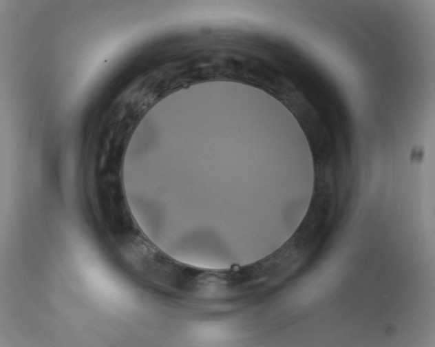 X0000112390526200909101414