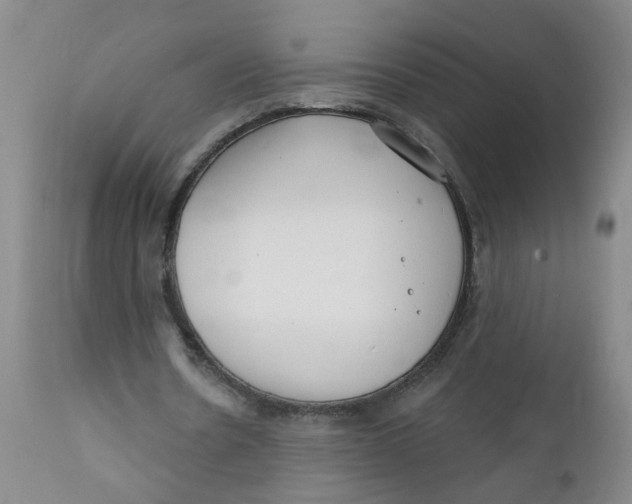 X0000112390530200909101413