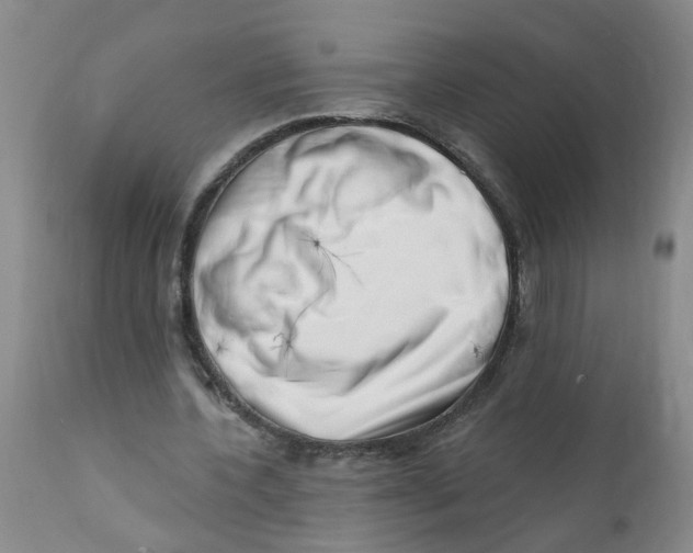 X0000112390532200909101413