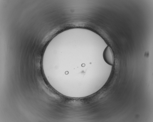 X0000112390537200909101413