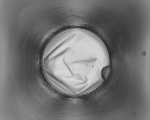 X0000112390539200909101413