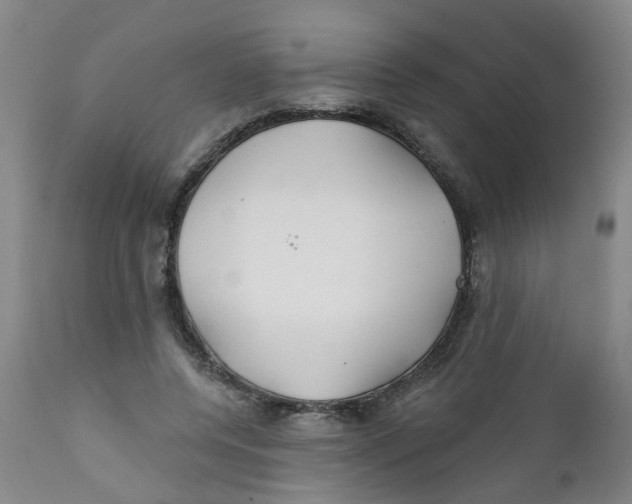 X0000112390544200909101413