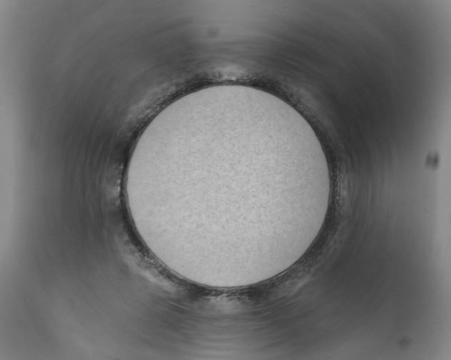 X0000112390545200909101413