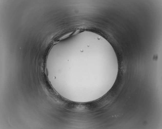 X0000112390547200909101413