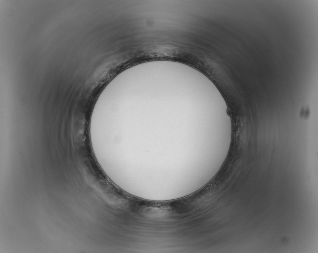 X0000112390548200909101413