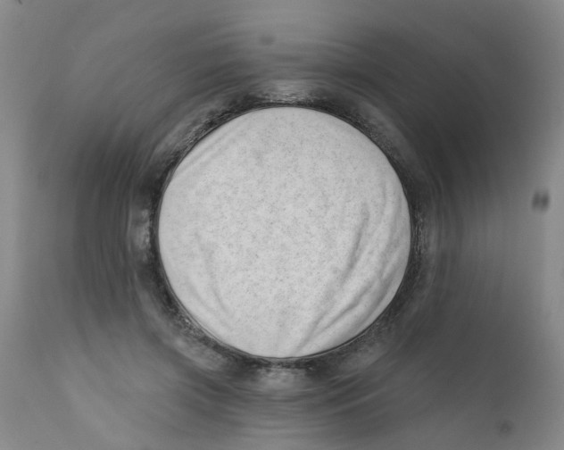 X0000112390549200909101413