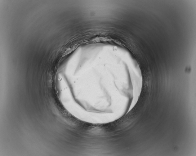 X0000112390551200909101413