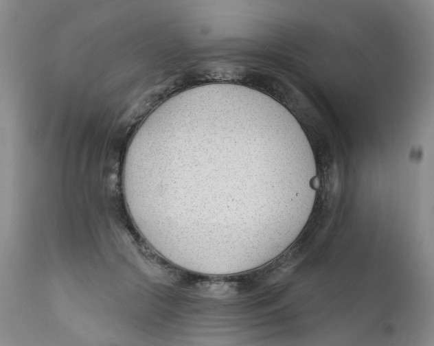 X0000112390553200909101413