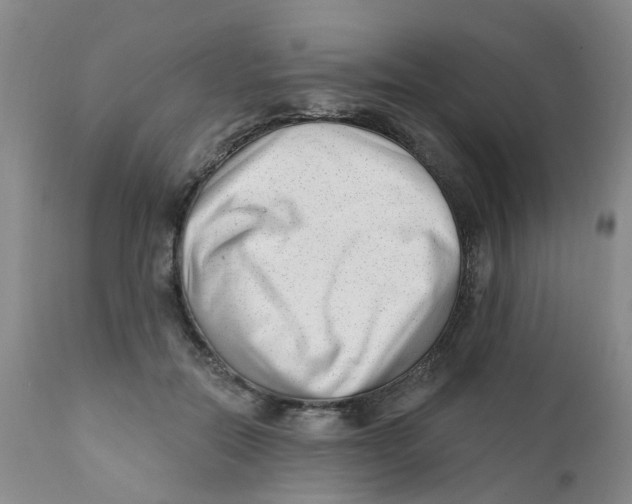 X0000112390554200909101413