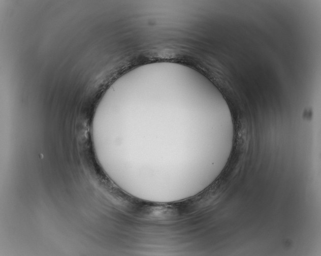 X0000112390555200909101413