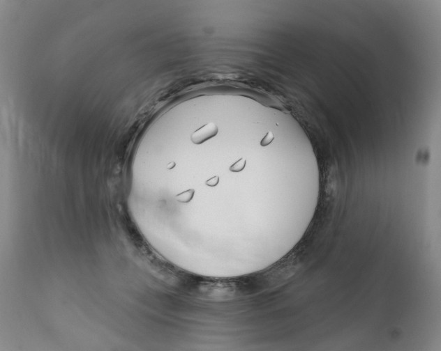 X0000112390559200909101413