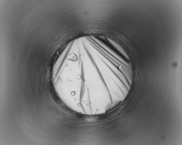 X0000112390560200909101413