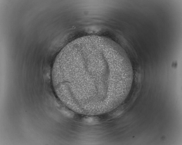 X0000112390561200909101413