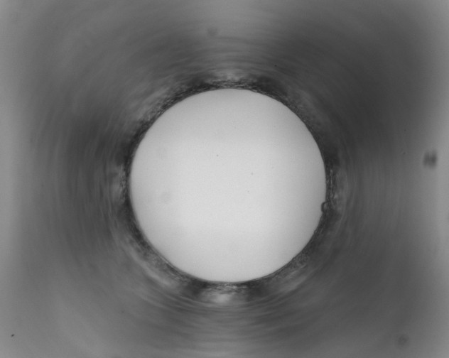 X0000112390563200909101413