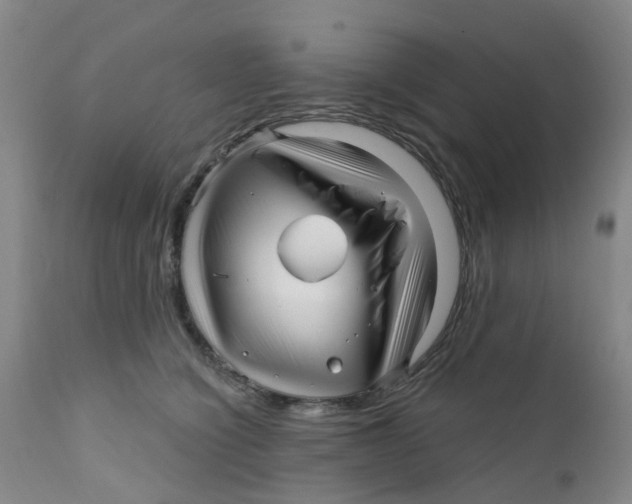 X0000112390564200909101413