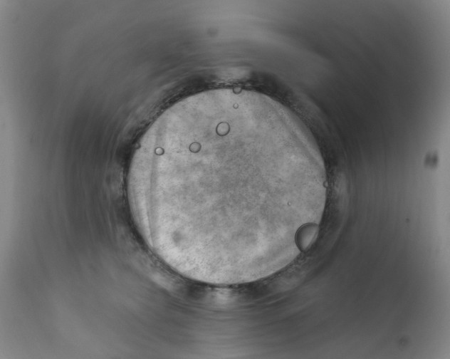 X0000112390565200909101413