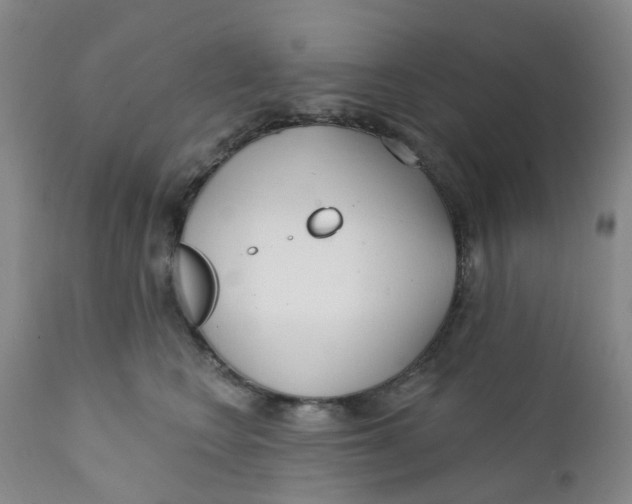 X0000112390566200909101413