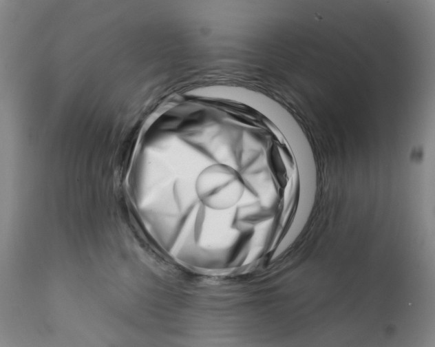 X0000112390568200909101414