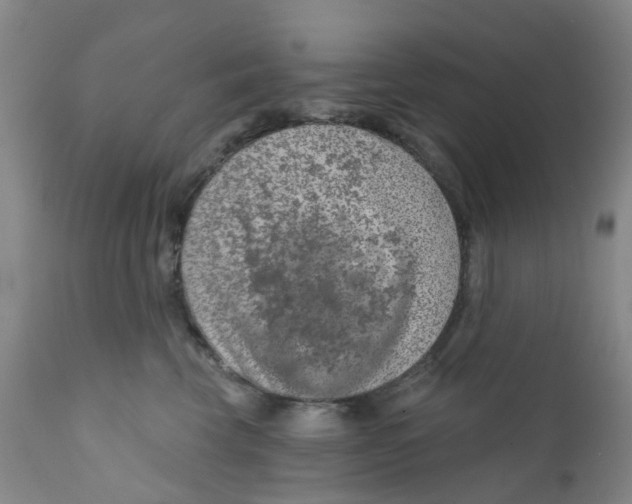 X0000112390569200909101414
