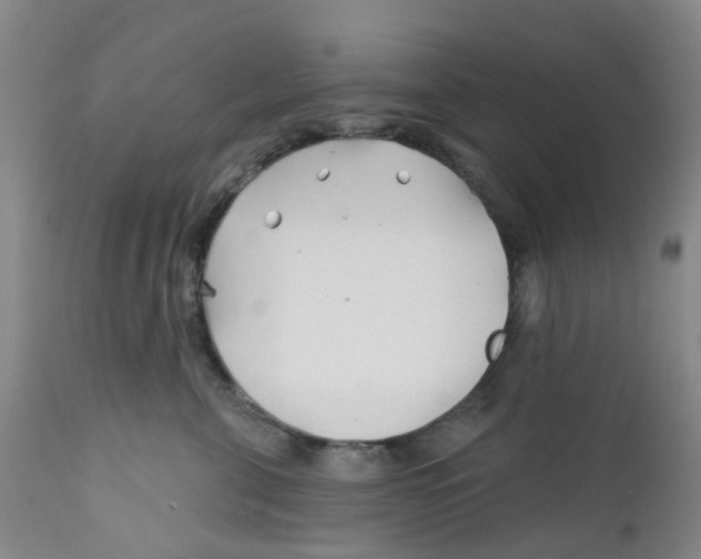 X0000112390571200909101414