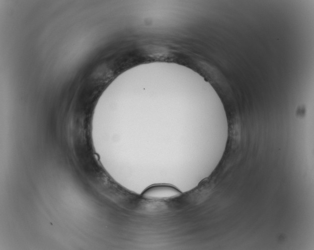 X0000112390572200909101414