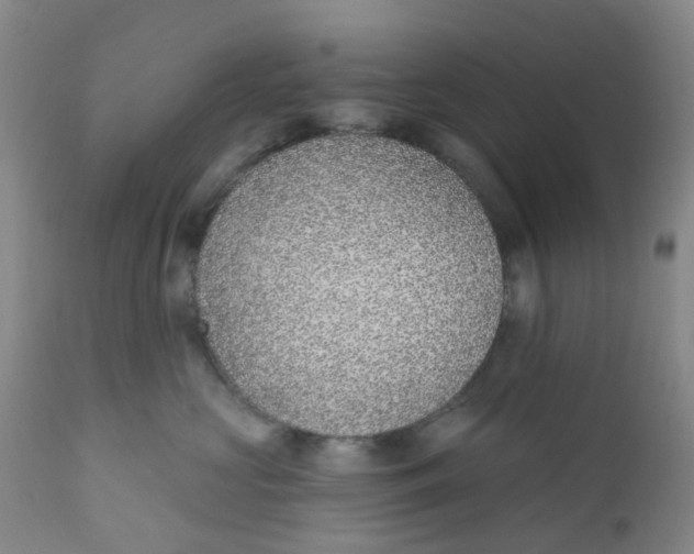 X0000112390573200909101414