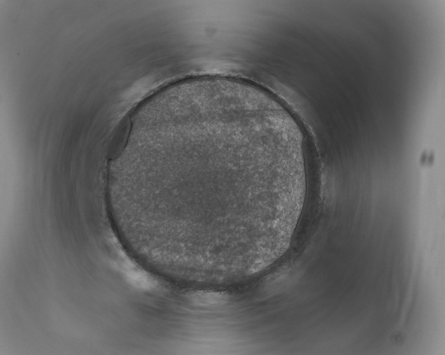 X0000112390577200909101413