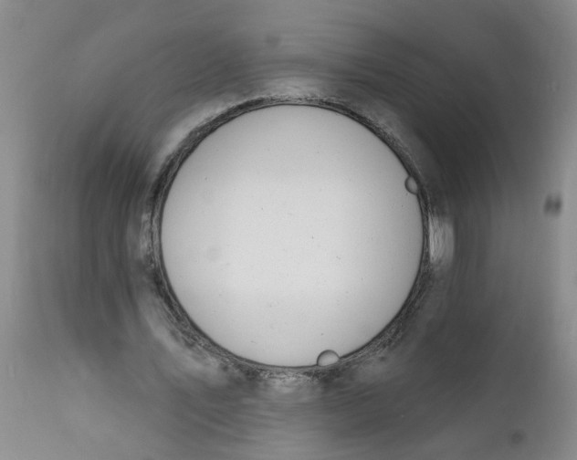 X0000112390579200909101413