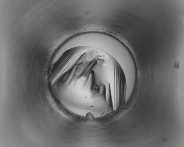 X0000112390581200909101413