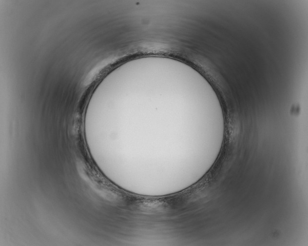 X0000112390583200909101413