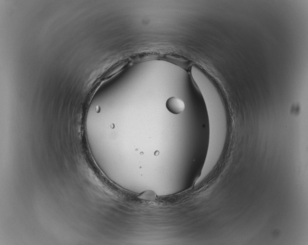 X0000112390585200909101413