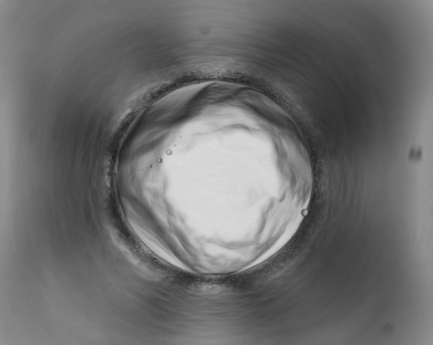 X0000112390590200909101413